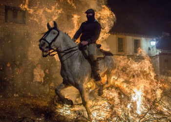 ANPBA denuncia las «Luminarias» por enfrentar a caballos con el fuego de enormes hogueras e invoca la Ley de protección animal