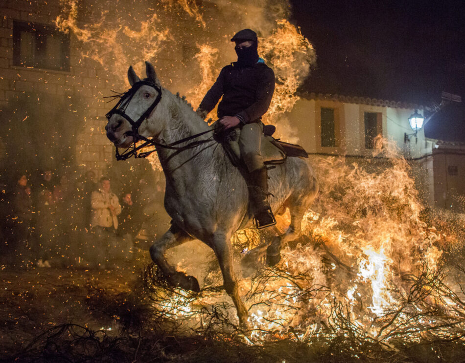 ANPBA denuncia las «Luminarias» por enfrentar a caballos con el fuego de enormes hogueras e invoca la Ley de protección animal