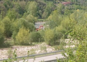 Coordinadora Ecoloxista d’Asturies: «Nueva agresión al río Aller»