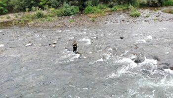 «Este sábado 18, se permite pescar los últimos salmones en los ríos asturianos»