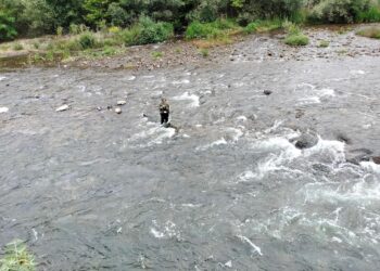 «Este sábado 18, se permite pescar los últimos salmones en los ríos asturianos»