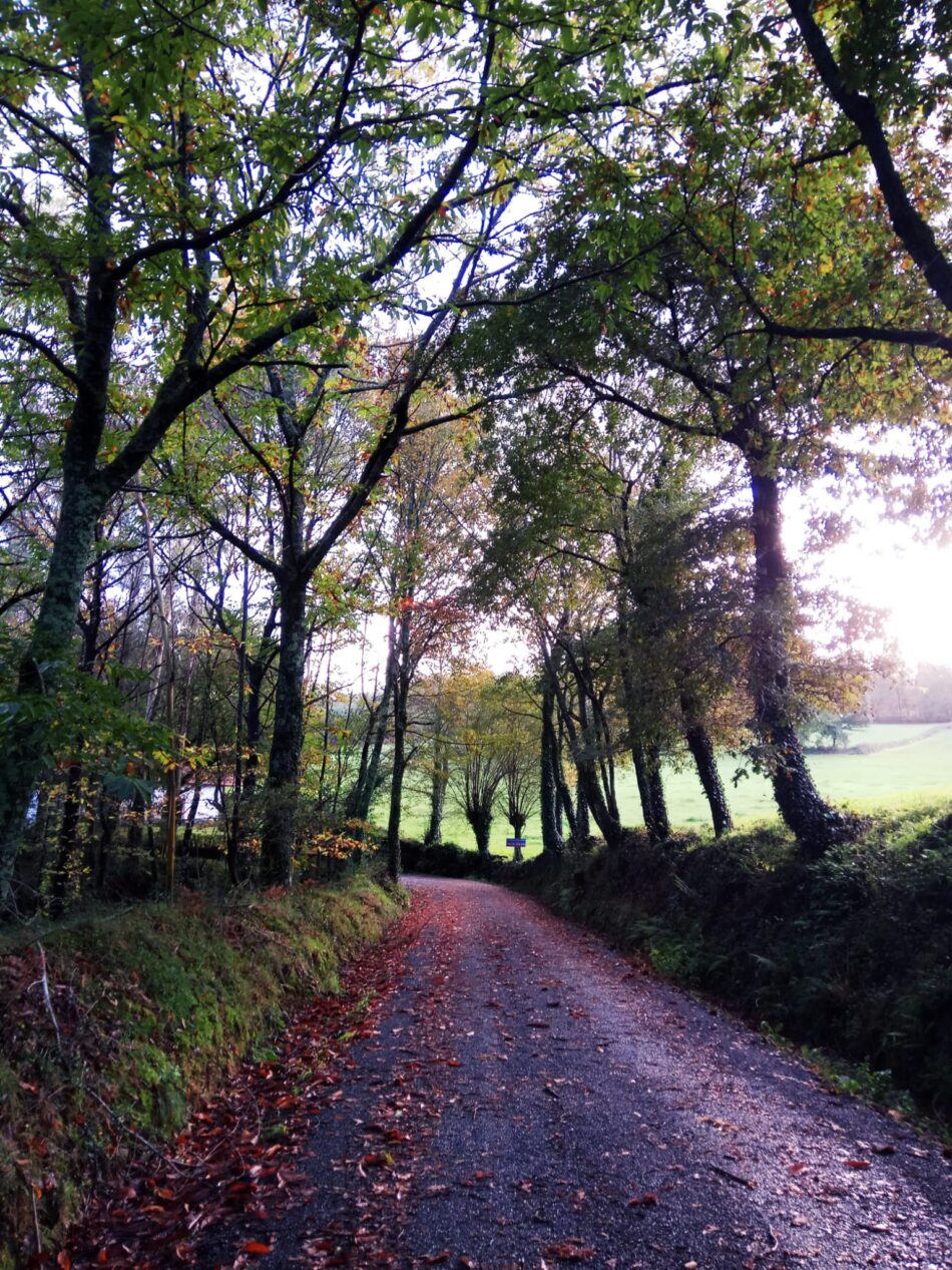 «¡No contamineis nuestro Camino!»