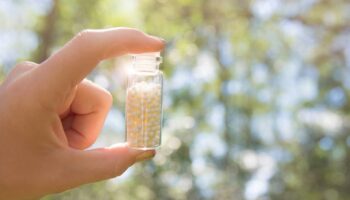 Sanidad concluye que la homeopatía no es eficaz para tratar ninguna enfermedad