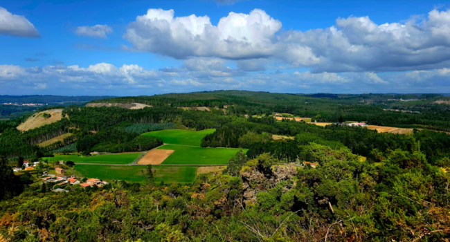 «A carreira de obstáculos para ser recoñecida como persoa interesada nun proxecto industrial estratéxico»