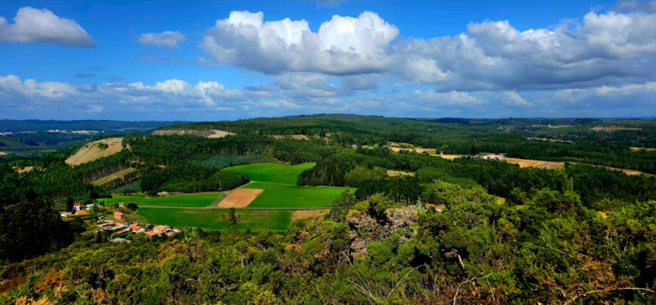«A carreira de obstáculos para ser recoñecida como persoa interesada nun proxecto industrial estratéxico»