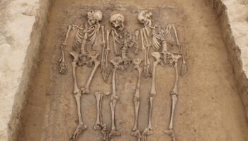 Un análisis genómico revela los cambios que marcaron a los europeos durante la caída del Imperio romano