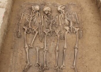 Un análisis genómico revela los cambios que marcaron a los europeos durante la caída del Imperio romano