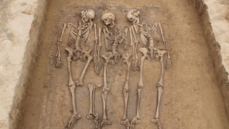 Un análisis genómico revela los cambios que marcaron a los europeos durante la caída del Imperio romano