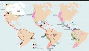Un gran mapa genético indígena de América revela más de un millón de variantes inéditas