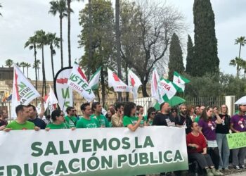 USTEA: «La educación en atención a la diversidad, la gran materia pendiente en Andalucía»
