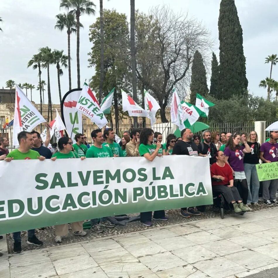 USTEA: «La educación en atención a la diversidad, la gran materia pendiente en Andalucía»