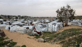 Gaza: otros siete palestinos muertos por soldados de Israel