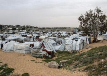 Gaza: otros siete palestinos muertos por soldados de Israel