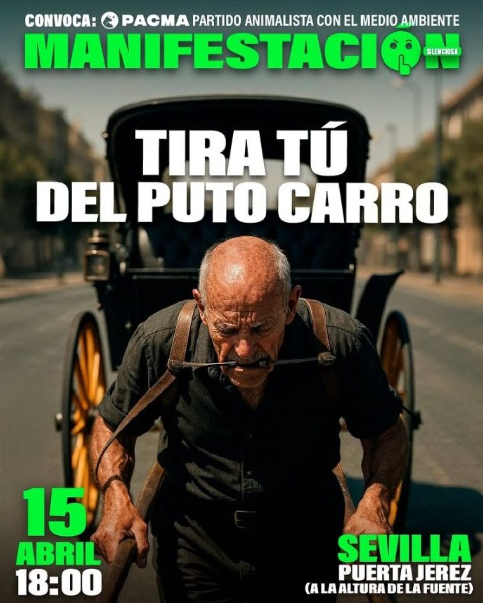 «Tira tú del puto carro»: PACMA convoca manifestación en Sevilla contra la explotación animal en los coches de caballos