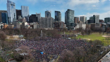 Activistas de solidaridad con Cuba se unieron a las protestas de «No Kings» en todo EE. UU.