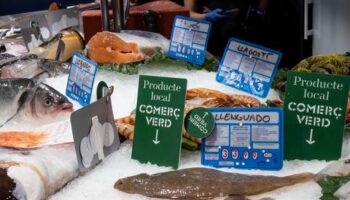 BComú impulsa 15 M€ en targetes moneder i 8 M€ en ajuts a autònoms davant l’encariment del cost de la vida