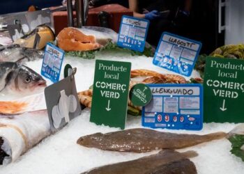 BComú impulsa 15 M€ en targetes moneder i 8 M€ en ajuts a autònoms davant l’encariment del cost de la vida