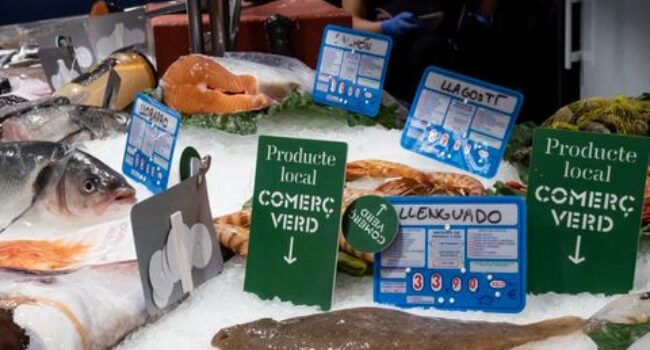 BComú impulsa 15 M€ en targetes moneder i 8 M€ en ajuts a autònoms davant l’encariment del cost de la vida