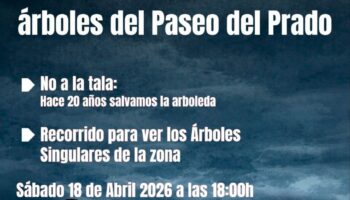 20 Años desde la movilización ciudadana que salvó el Paseo del Prado