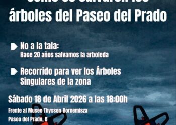 20 Años desde la movilización ciudadana que salvó el Paseo del Prado