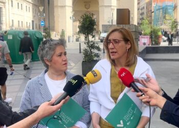 Anguita llevará al Pleno de Valladolid el “fiasco” de la suspensión de multas de la ZBE y exigirá responsabilidades al equipo de Gobierno