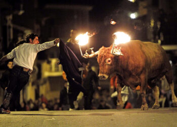 Antitaurinos piden la dimisión de Ferris por seguir autorizando actos taurinos en Albal