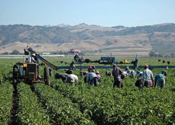 Correos afronta el impacto de la regularización de inmigrantes con una plantilla tensionada por la falta de planificación y recursos
