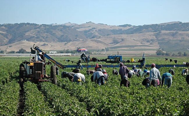 Correos afronta el impacto de la regularización de inmigrantes con una plantilla tensionada por la falta de planificación y recursos