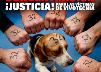 Organizaciones denunciantes se concentrarán 7 y 8 de mayo frente al Juzgado de Instancia de Madrid por motivo del juicio a Vivotecnia