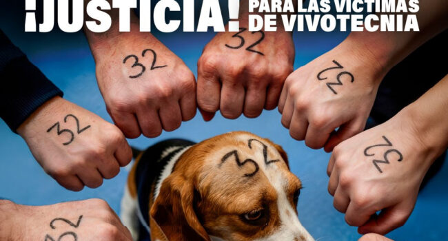 Organizaciones denunciantes se concentrarán 7 y 8 de mayo frente al Juzgado de Instancia de Madrid por motivo del juicio a Vivotecnia