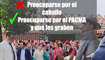 PACMA denuncia el desplome de una mula en la Feria de Sevilla ante la pasividad del Ayuntamiento