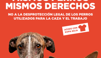 Convocan protesta bajo el lema «mismos perros mismos derechos» el sábado 11 de abril, desde el Ministerio de Derechos Sociales y hasta el de Agricultura