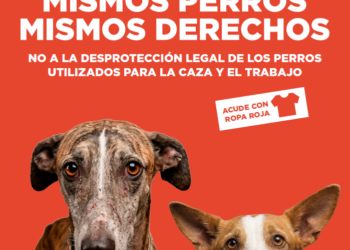 Convocan protesta bajo el lema «mismos perros mismos derechos» el sábado 11 de abril, desde el Ministerio de Derechos Sociales y hasta el de Agricultura