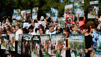 PACMA alza la voz en Sevilla contra la explotación de caballos para el turismo: “Tira tú del puto carro”