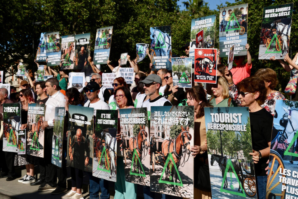 PACMA alza la voz en Sevilla contra la explotación de caballos para el turismo: “Tira tú del puto carro”