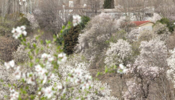 Salvar Hortaleza presenta 7.000 firmas para que la Comunidad de Madrid proteja la centenaria Huerta de Mena