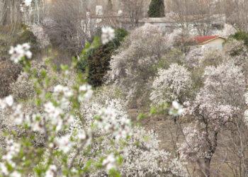 Salvar Hortaleza presenta 7.000 firmas para que la Comunidad de Madrid proteja la centenaria Huerta de Mena
