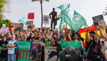 Cerca de mil personas llenan las calles en la manifestación “Sevilla Antitaurina 2026” convocada por PACMA