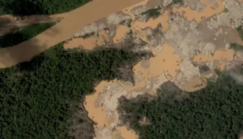 Amazonía peruana: minería ilegal arrasó 500 hectáreas durante un año en Tambopata