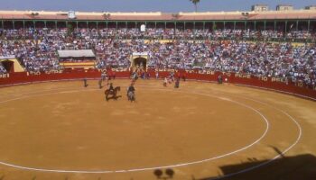 IU rechaza la reapertura de la Escuela Municipal de Tauromaquia en Jerez