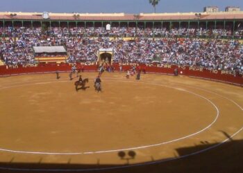 IU rechaza la reapertura de la Escuela Municipal de Tauromaquia en Jerez
