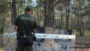 CCOO denuncia el «desmantelamiento» de los agentes medioambientales en Córdoba y exige a la Junta de Andalucía que active ya la nueva ley