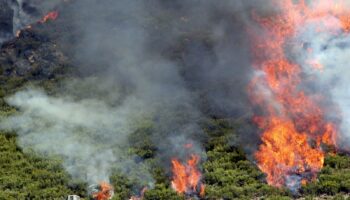 Critican que no se haya declarado el peligro alto por incendios forestales