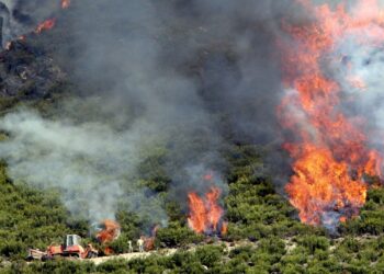 Critican que no se haya declarado el peligro alto por incendios forestales