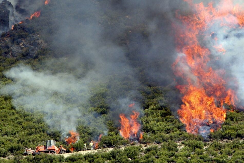 Critican que no se haya declarado el peligro alto por incendios forestales
