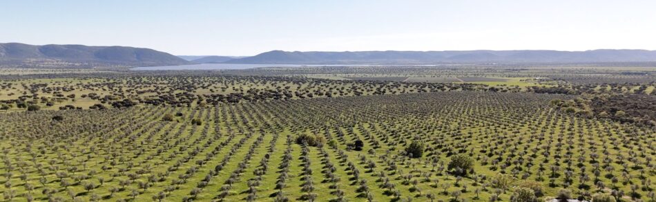 Alianza Verde considera aberrante el proyecto del gobierno de Page de un aeródromo privado con fines cinegéticos que afecta al Parque Nacional de Cabañeros y pide frenarlo