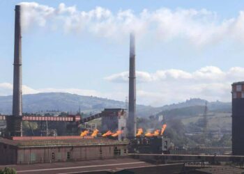 Ecologistas en Acción sigue presionando a ArcelorMittal para que descarbonice y detoxifique su producción garantizando empleos de calidad