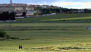 AnimaNaturalis se suma a la petición para prohibir la caza con armas de fuego en el entorno periurbano de Salamanca y Villares de la Reina