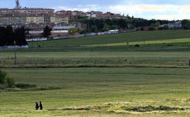 Asociaciones salmantinas advierten del alto peligro de una zona de caza en el entorno periurbano de Salamanca