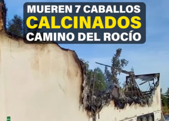Ocho caballos mueren calcinados camino de El Rocío: PACMA exige responsabilidades y el fin del uso de animales en la romería